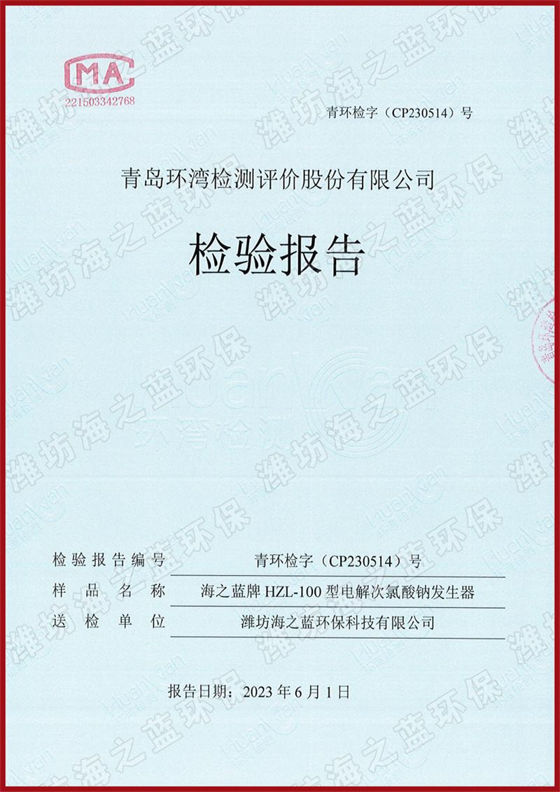 100g次氯酸钠发生器检测报告